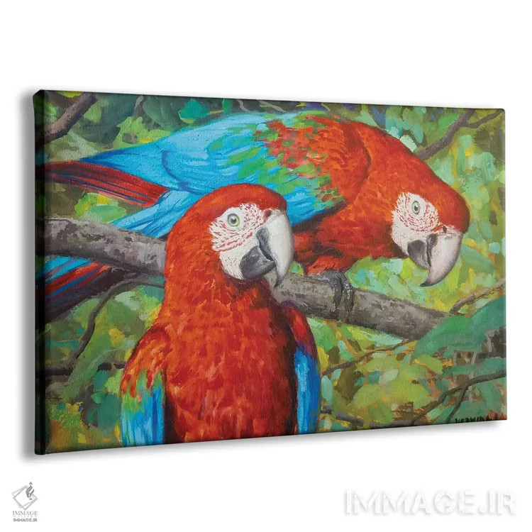 تابلو طوطیهای قرمز ۲(مکائو) اثر گابریل هرمیدا - نمای پرسپکتیو محصول