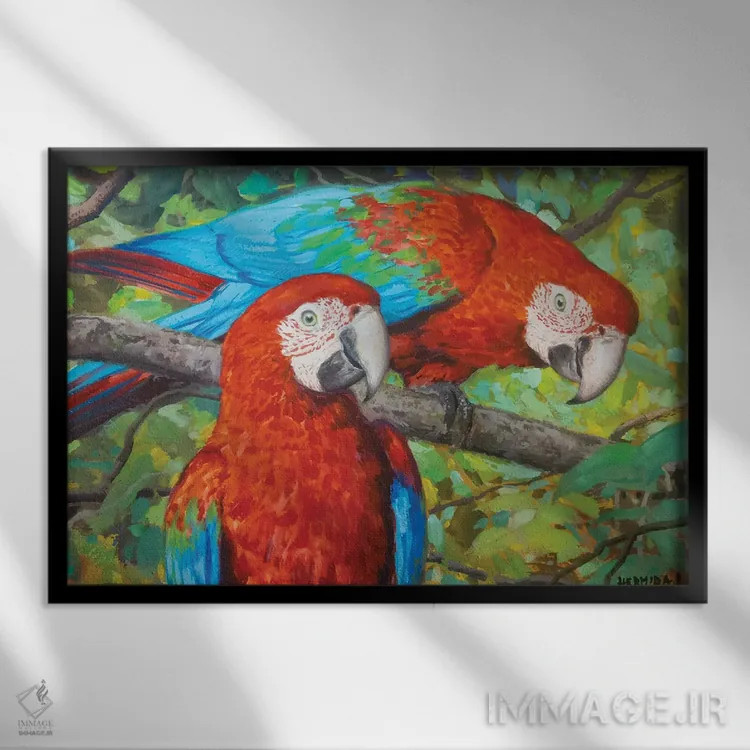 تابلو طوطیهای قرمز ۲(مکائو) اثر گابریل هرمیدا - نمای قابدار مشکی