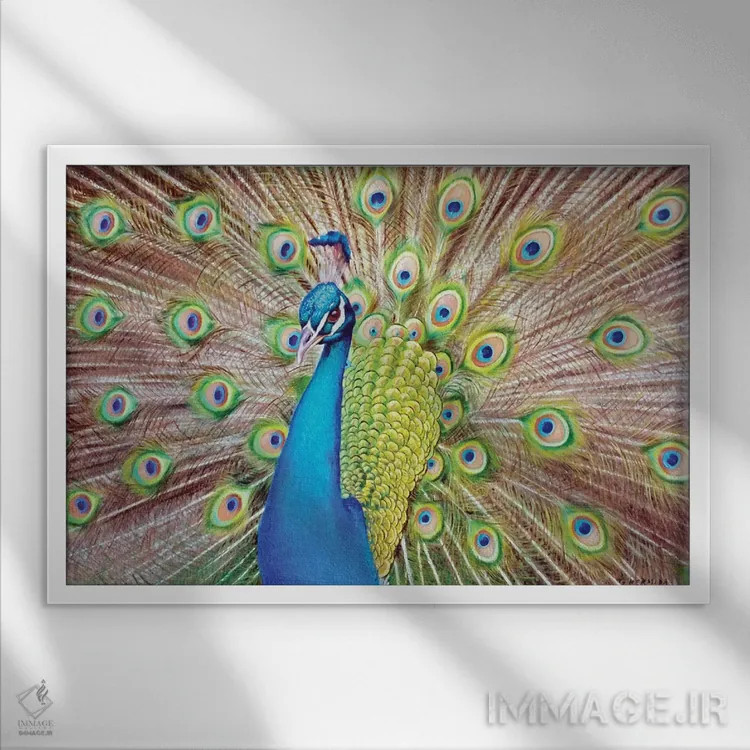 تابلو نمایشی اثر گابریل هرمیدا - نمای قابدار سفید