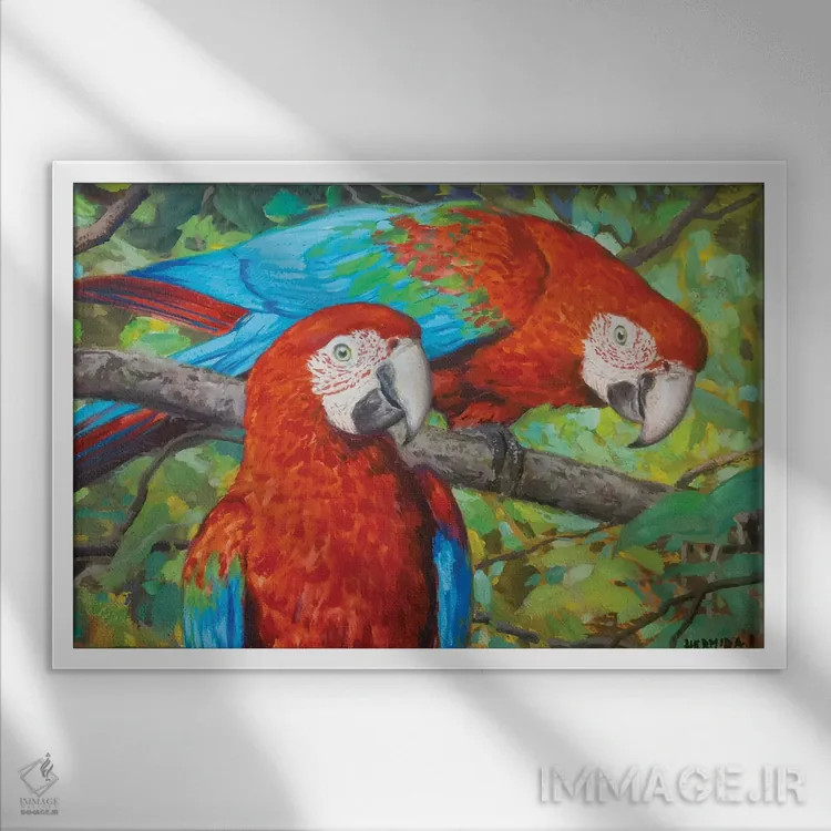 تابلو طوطیهای قرمز ۲(مکائو) اثر گابریل هرمیدا - نمای قابدار سفید