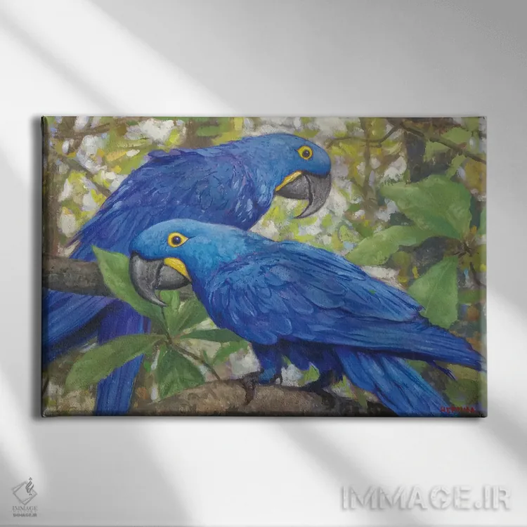 تابلو طوطیهای سنبل(مکائو سنبلی) اثر گابریل هرمیدا - نمای روبهرو روی دیوار