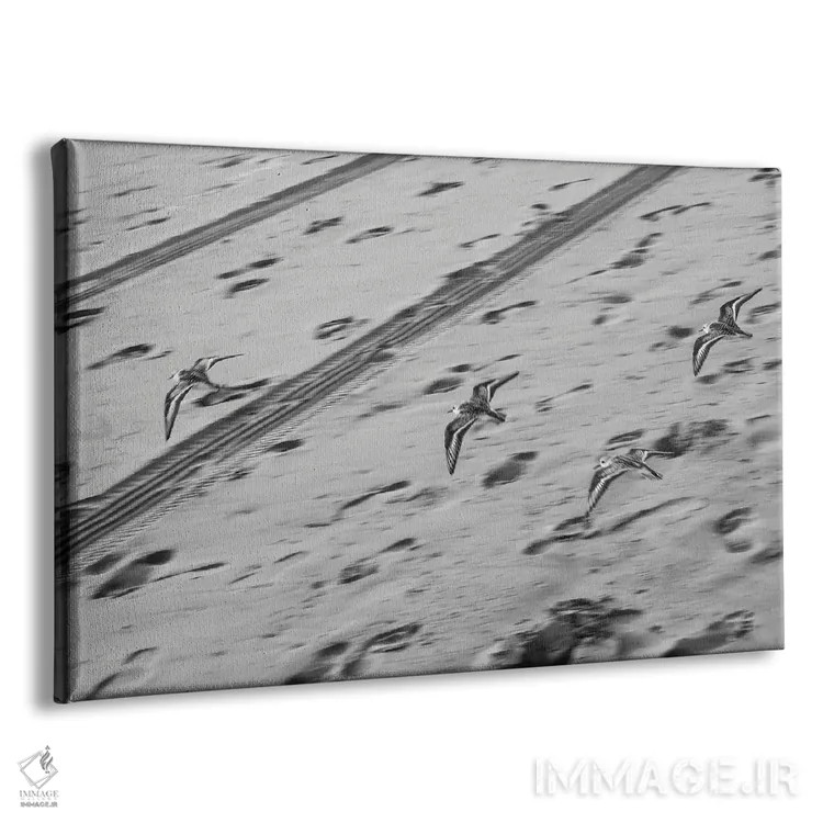 تابلو پرندگان در دریا اثر گیلیارد برسسان - نمای پرسپکتیو محصول