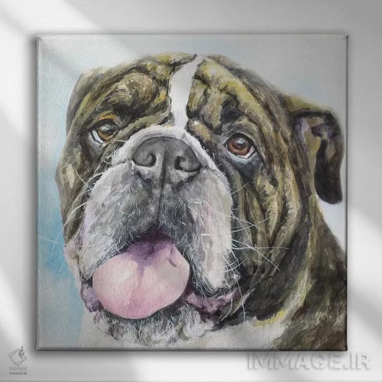 تابلو بولداگ انگلیسی ۱ (نژاد سگ) اثر جورج دیاچنکو - نمای روبهرو روی دیوار