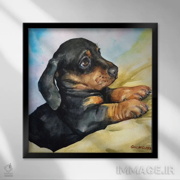 تابلو توله داشهاند (نژاد سگ) اثر جورج دیاچنکو - نمای قابدار مشکی