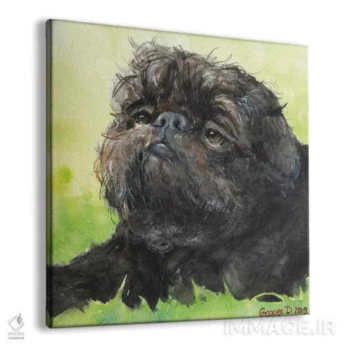 تابلو بروسل گریفون سیاه با پسزمینه (نژاد سگ) اثر جورج دیاچنکو - نمای پرسپکتیو محصول