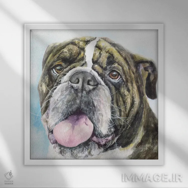 تابلو بولداگ انگلیسی ۱ (نژاد سگ) اثر جورج دیاچنکو - نمای قابدار سفید