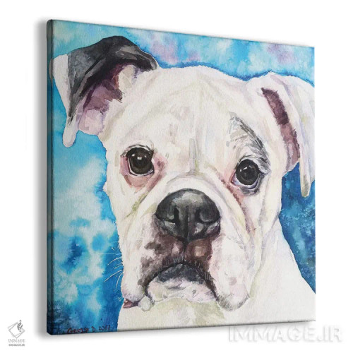 تابلو باکسر سفید ۲ (نژاد سگ) اثر جورج دیاچنکو - نمای پرسپکتیو محصول