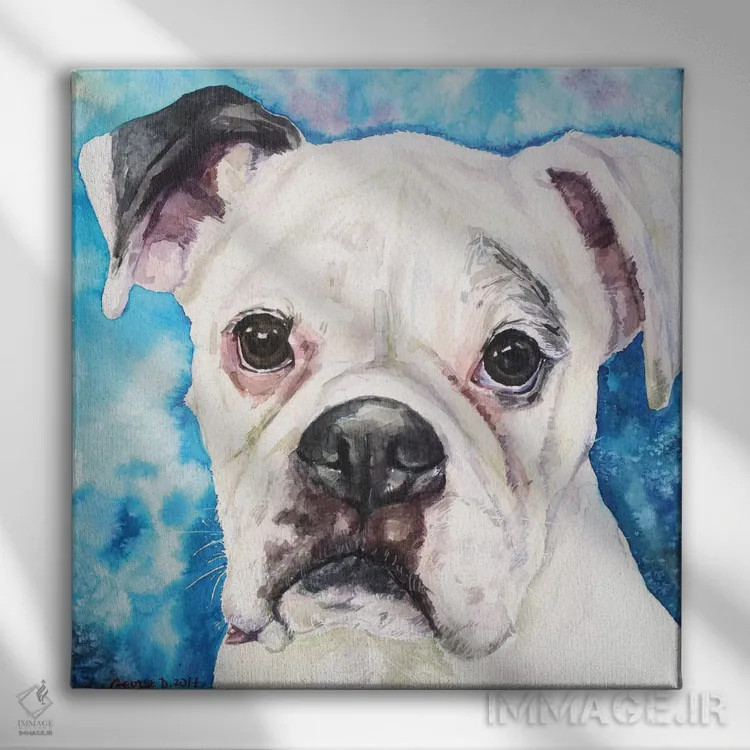 تابلو باکسر سفید ۲ (نژاد سگ) اثر جورج دیاچنکو - نمای روبهرو روی دیوار