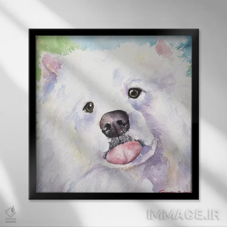 تابلو ساموید (نژاد سگ) اثر جورج دیاچنکو - نمای قابدار مشکی