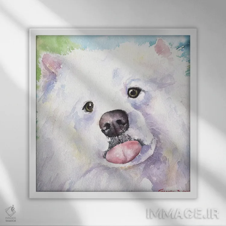 تابلو ساموید (نژاد سگ) اثر جورج دیاچنکو - نمای قابدار سفید