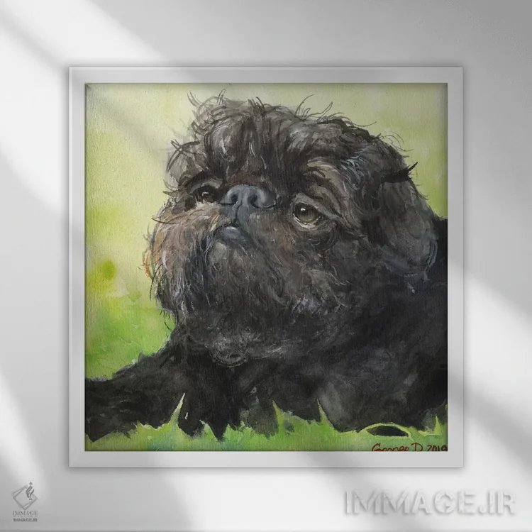 تابلو بروسل گریفون سیاه با پسزمینه (نژاد سگ) اثر جورج دیاچنکو - نمای قابدار سفید