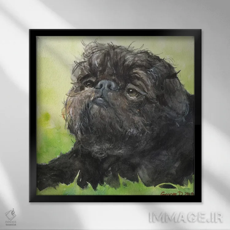 تابلو بروسل گریفون سیاه با پسزمینه (نژاد سگ) اثر جورج دیاچنکو - نمای قابدار مشکی