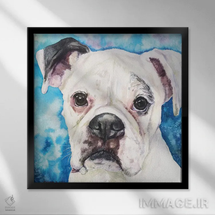تابلو باکسر سفید ۲ (نژاد سگ) اثر جورج دیاچنکو - نمای قابدار مشکی