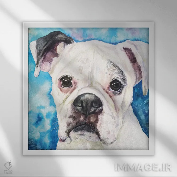 تابلو باکسر سفید ۲ (نژاد سگ) اثر جورج دیاچنکو - نمای قابدار سفید