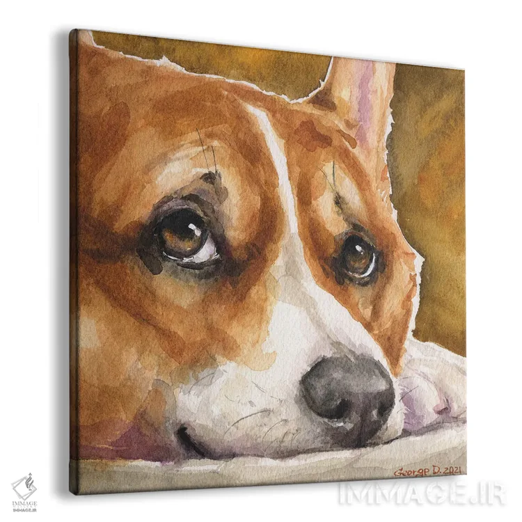 تابلو نگاه کورگی (نژاد سگ) اثر جورج دیاچنکو - نمای پرسپکتیو محصول