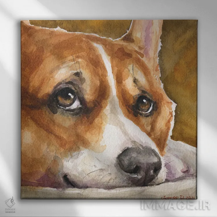تابلو نگاه کورگی (نژاد سگ) اثر جورج دیاچنکو - نمای روبهرو روی دیوار