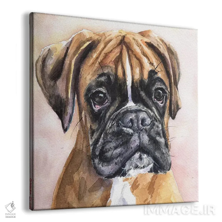 تابلو فینا باکسر (اسم خاص/نژاد سگ) اثر جورج دیاچنکو - نمای پرسپکتیو محصول