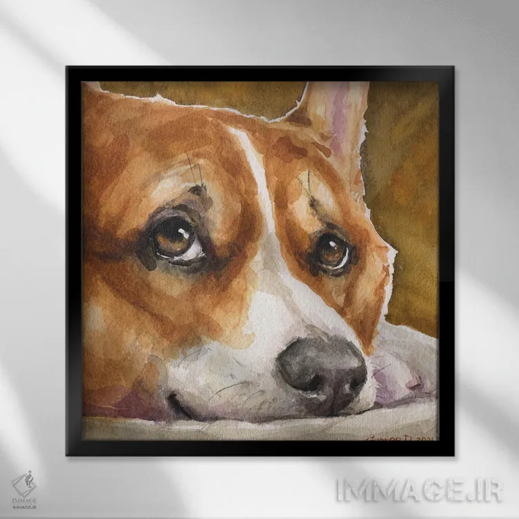 تابلو نگاه کورگی (نژاد سگ) اثر جورج دیاچنکو - نمای قابدار مشکی