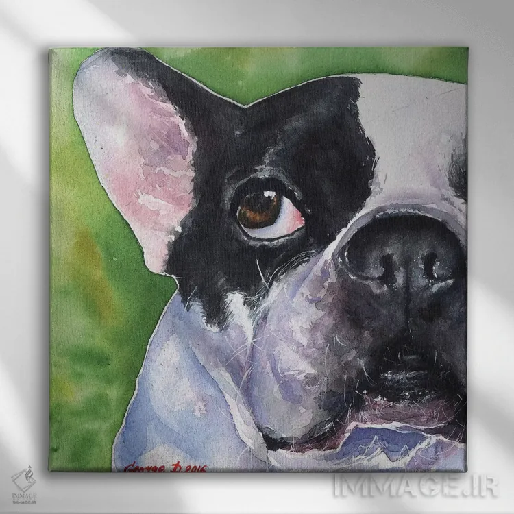 تابلو بولداگ فرانسوی (نژاد سگ) اثر جورج دیاچنکو - نمای روبهرو روی دیوار