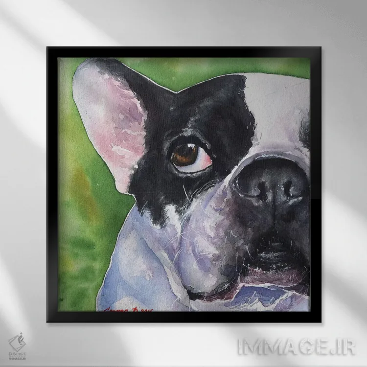 تابلو بولداگ فرانسوی (نژاد سگ) اثر جورج دیاچنکو - نمای قابدار مشکی