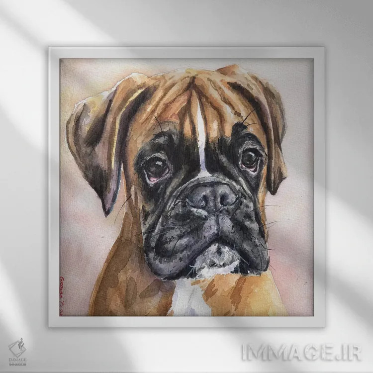 تابلو فینا باکسر (اسم خاص/نژاد سگ) اثر جورج دیاچنکو - نمای قابدار سفید