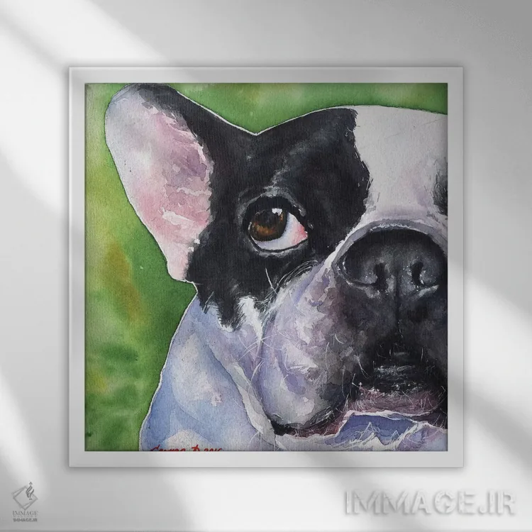 تابلو بولداگ فرانسوی (نژاد سگ) اثر جورج دیاچنکو - نمای قابدار سفید