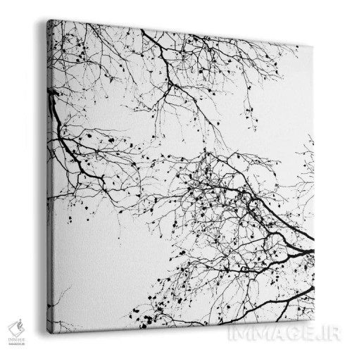 تابلو شاخههای سیاه II (مربع) اثر مونیکا استریگل - نمای پرسپکتیو محصول