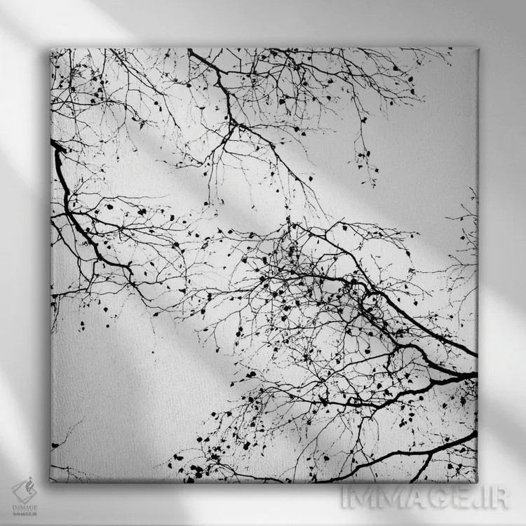 تابلو شاخههای سیاه II (مربع) اثر مونیکا استریگل - نمای روبهرو روی دیوار