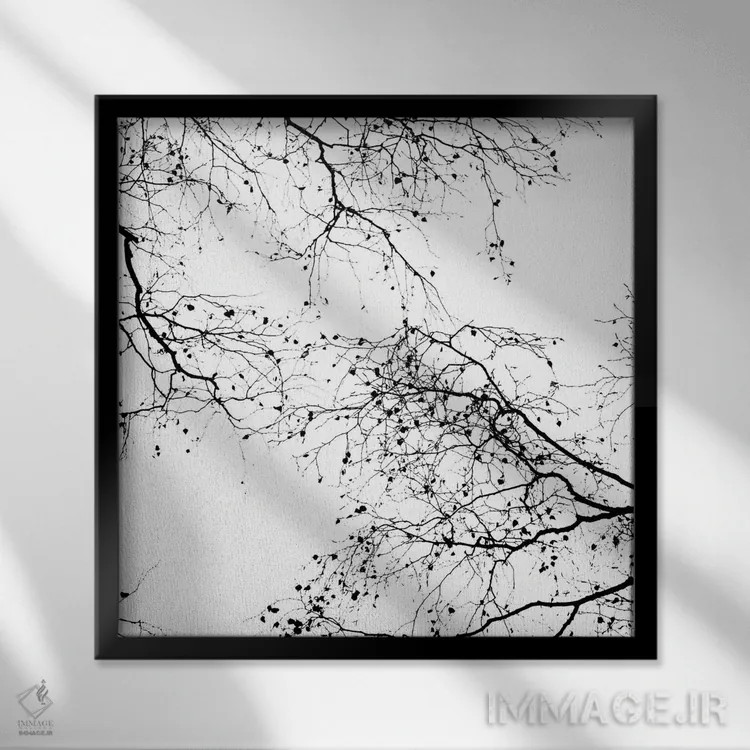 تابلو شاخههای سیاه II (مربع) اثر مونیکا استریگل - نمای قابدار مشکی
