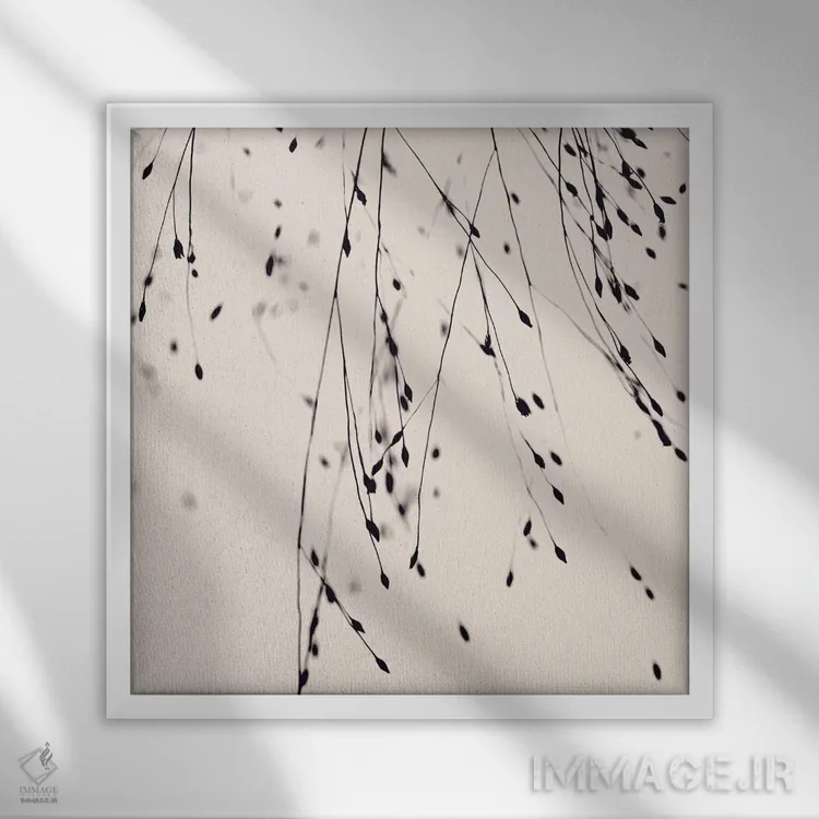 تابلو علف سیاه، سرخگونه (مربع) اثر مونیکا استریگل - نمای قابدار سفید