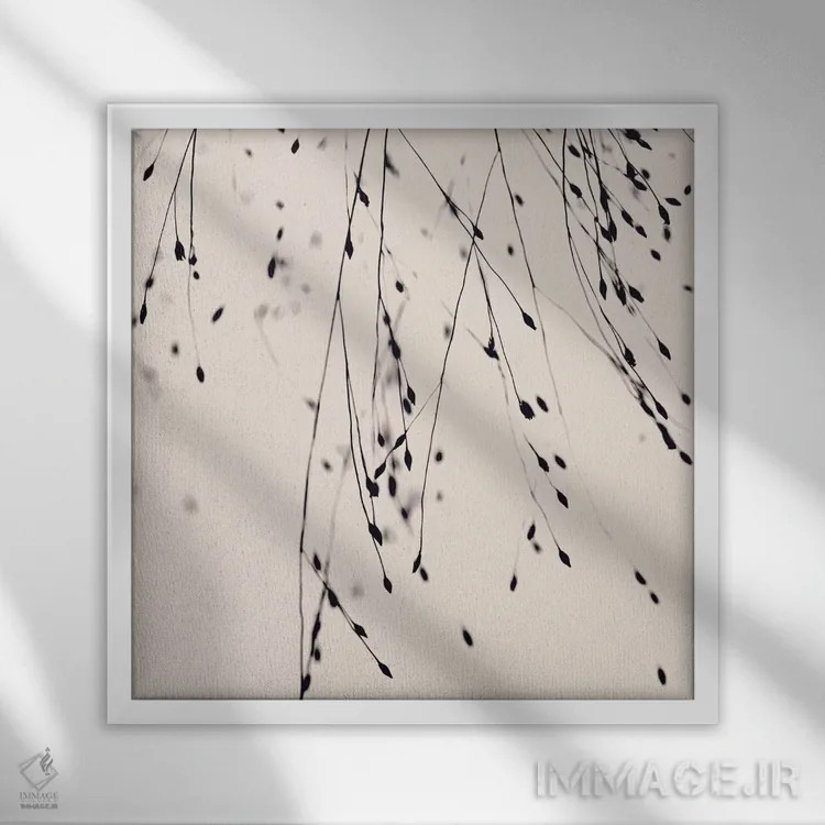 تابلو علف سیاه، سرخگونه (مربع) اثر مونیکا استریگل - نمای قابدار سفید