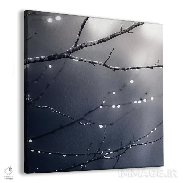 تابلو جنگل سرمهای تیره (مربع) اثر مونیکا استریگل - نمای پرسپکتیو محصول