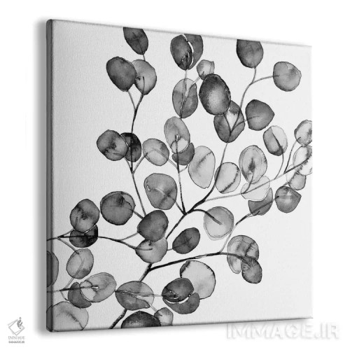 تابلو اکالیپتوس آبرنگی سیاه و سفید (مربع) اثر مونیکا استریگل - نمای پرسپکتیو محصول