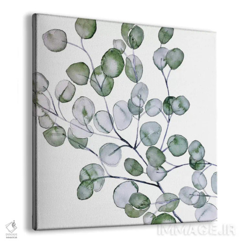 تابلو اکالیپتوس آبرنگی (مربع) اثر مونیکا استریگل - نمای پرسپکتیو محصول