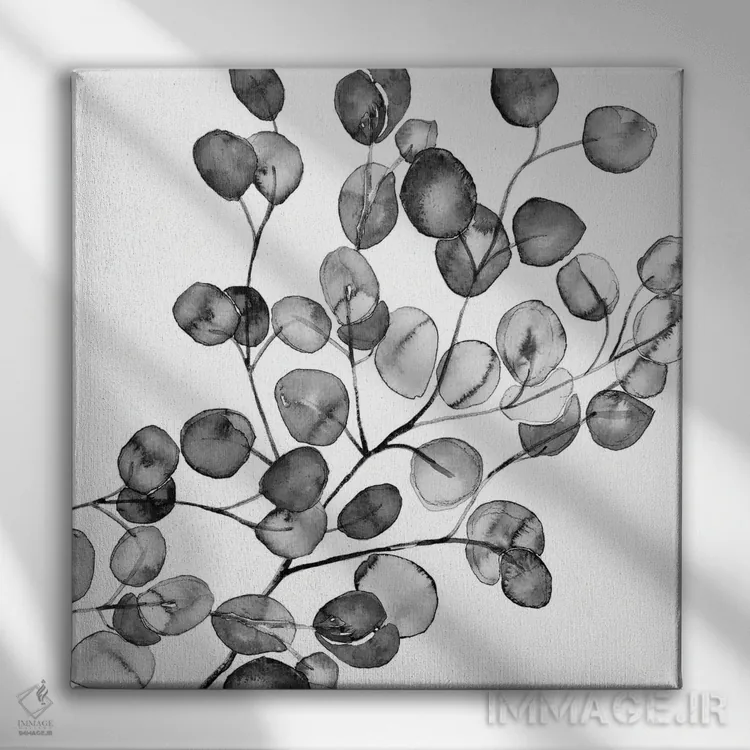 تابلو اکالیپتوس آبرنگی سیاه و سفید (مربع) اثر مونیکا استریگل - نمای روبهرو روی دیوار