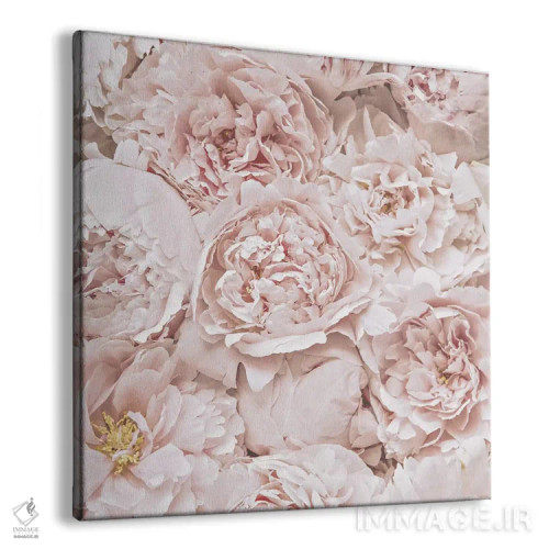 تابلو گلهای صدتومانی سرخگونه (مربع) اثر مونیکا استریگل - نمای پرسپکتیو محصول