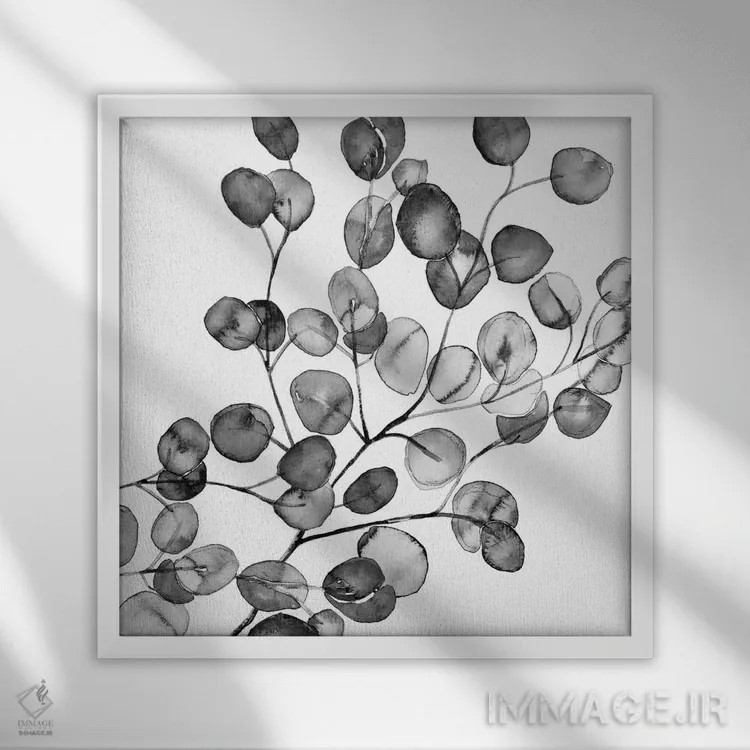 تابلو اکالیپتوس آبرنگی سیاه و سفید (مربع) اثر مونیکا استریگل - نمای قابدار سفید