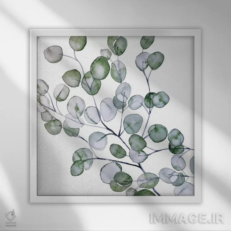 تابلو اکالیپتوس آبرنگی (مربع) اثر مونیکا استریگل - نمای قابدار سفید