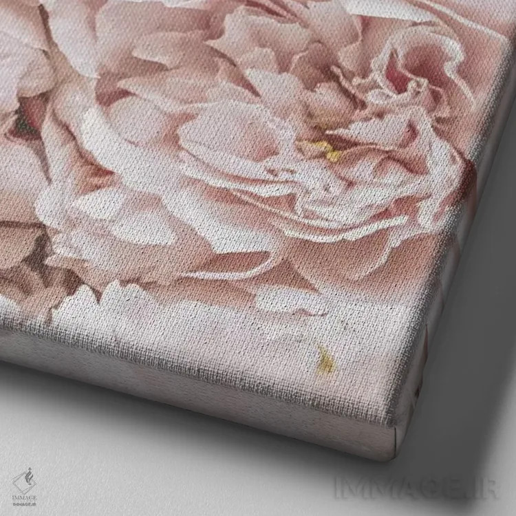 تابلو گلهای صدتومانی سرخگونه (مربع) اثر مونیکا استریگل - نمای نزدیک بافت بوم