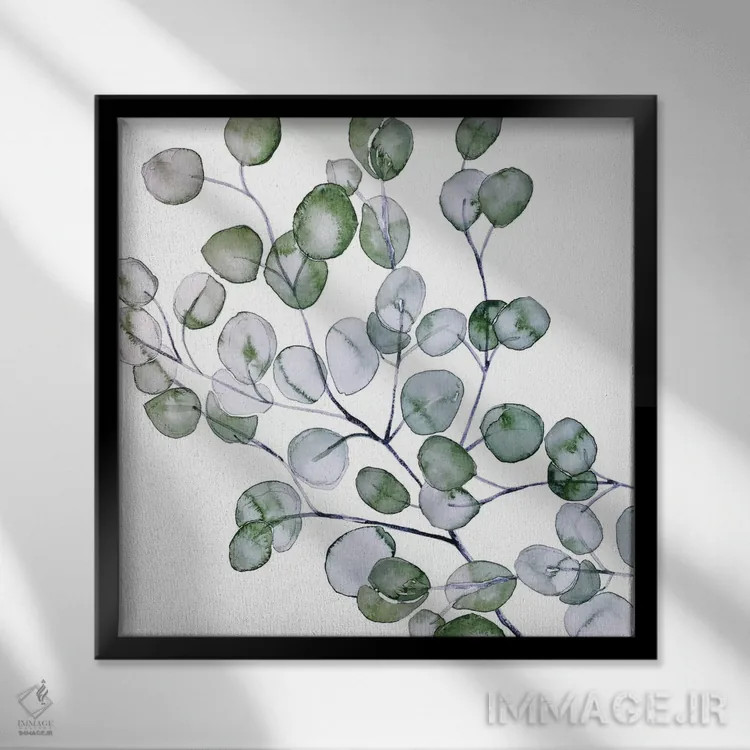 تابلو اکالیپتوس آبرنگی (مربع) اثر مونیکا استریگل - نمای قابدار مشکی