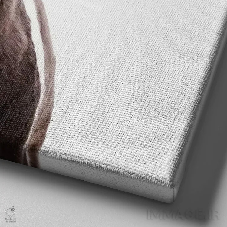 تابلو اسب ایسلندی لوسی I (مربع) اثر مونیکا استریگل - نمای نزدیک بافت بوم