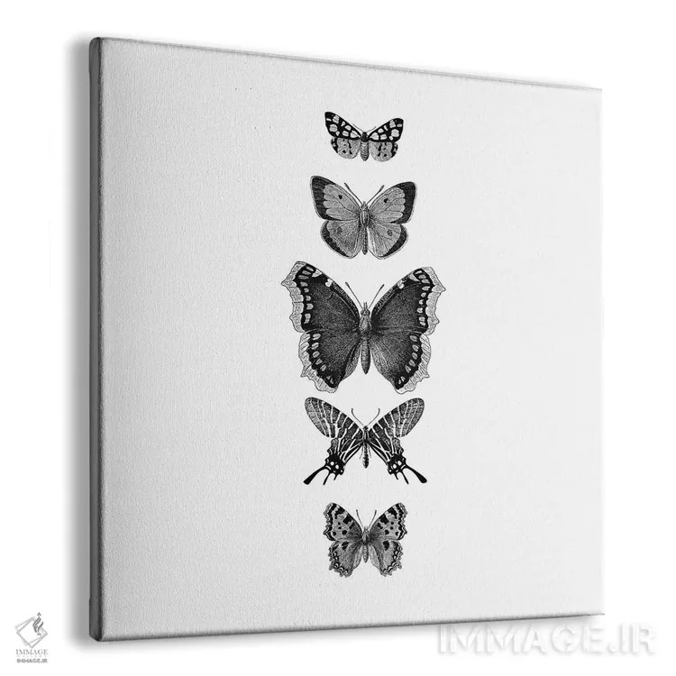 تابلو پروانههای نقاشی شده با جوهر (سیاه و سفید، مربع) اثر مونیکا استریگل - نمای پرسپکتیو محصول