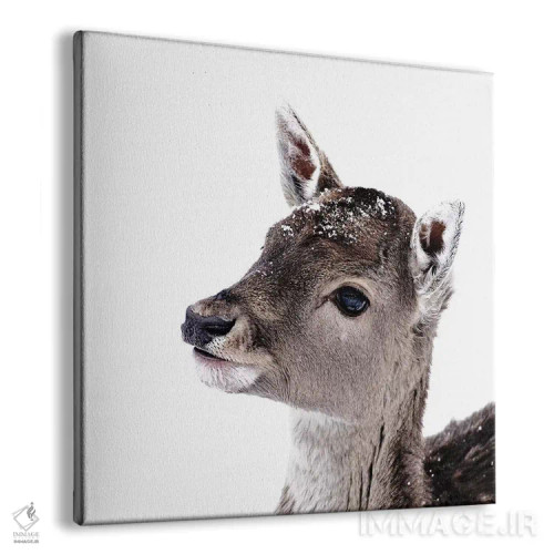 تابلو آهوچه فیونا II (مربع) اثر مونیکا استریگل - نمای پرسپکتیو محصول