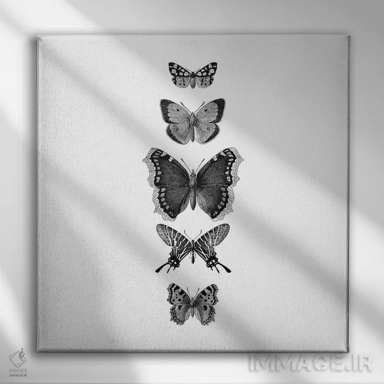 تابلو پروانههای نقاشی شده با جوهر (سیاه و سفید، مربع) اثر مونیکا استریگل - نمای روبهرو روی دیوار