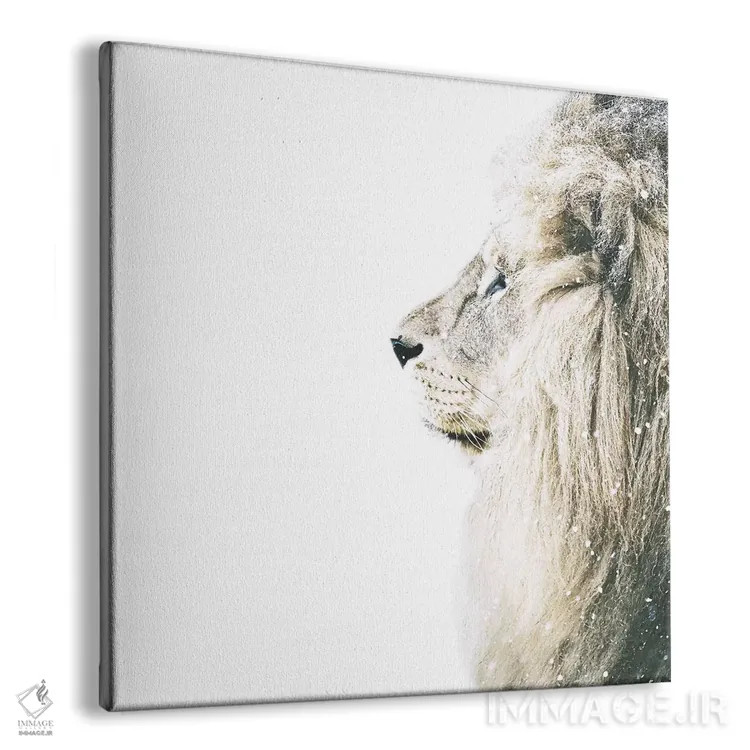 تابلو شیر در برف (مربع) اثر مونیکا استریگل - نمای پرسپکتیو محصول