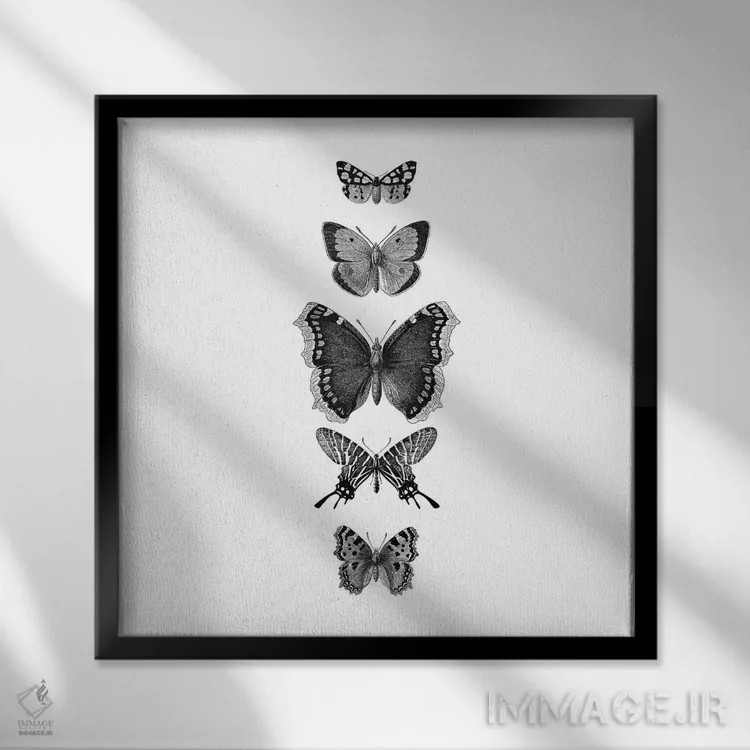 تابلو پروانههای نقاشی شده با جوهر (سیاه و سفید، مربع) اثر مونیکا استریگل - نمای قابدار مشکی