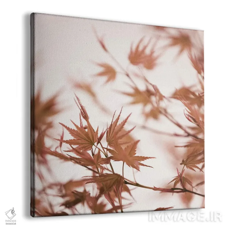 تابلو برگهای افرا I (مربع) اثر مونیکا استریگل - نمای پرسپکتیو محصول