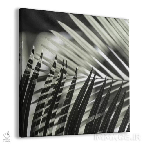 تابلو برگهای نخل با سایههای سبز (مربع) اثر مونیکا استریگل - نمای پرسپکتیو محصول
