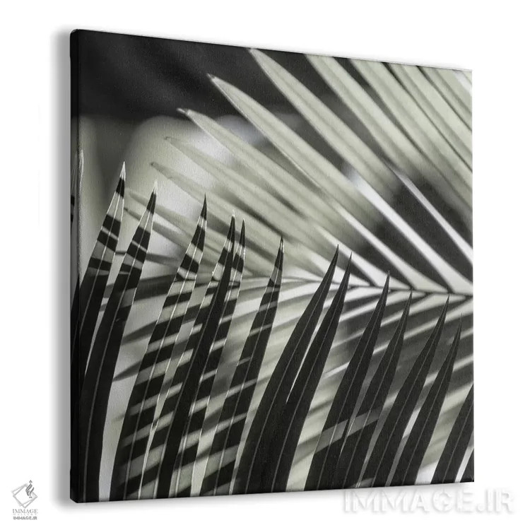 تابلو برگهای نخل با سایههای سبز (مربع) اثر مونیکا استریگل - نمای پرسپکتیو محصول