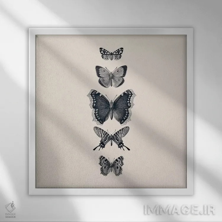 تابلو پروانههای نقاشی شده با جوهر (بژ، مربع) اثر مونیکا استریگل - نمای قابدار سفید